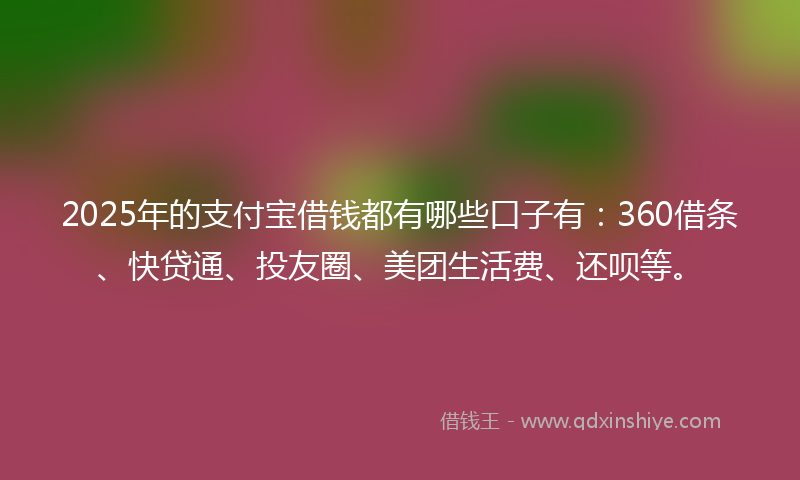 2025年的支付宝借钱都有哪些口子有：360借条、快贷通、投友圈、美团生活费、还呗等。