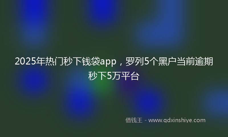 2025年热门秒下钱袋app，罗列5个黑户当前逾期秒下5万平台
