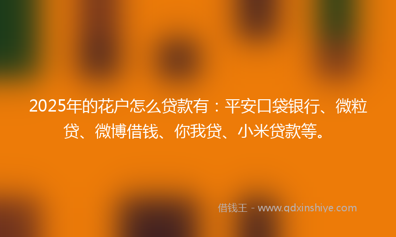 2025年的花户怎么贷款有：平安口袋银行、微粒贷、微博借钱、你我贷、小米贷款等。
