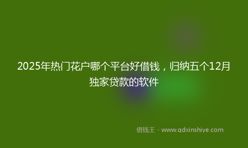 2025年热门花户哪个平台好借钱，归纳五个12月独家贷款的软件