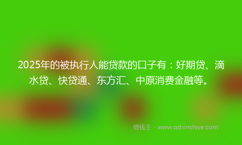 2025年的被执行人能贷款的口子有：好期贷、滴水贷、快贷通、东方汇、中原消费金融等。