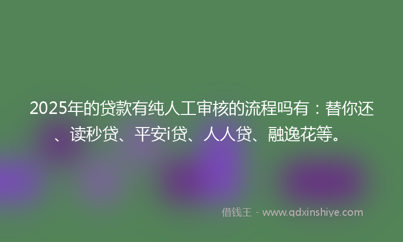 2025年的贷款有纯人工审核的流程吗有：替你还、读秒贷、平安i贷、人人贷、融逸花等。