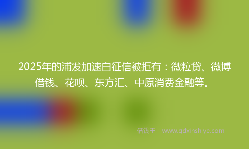 2025年的浦发加速白征信被拒有：微粒贷、微博借钱、花呗、东方汇、中原消费金融等。