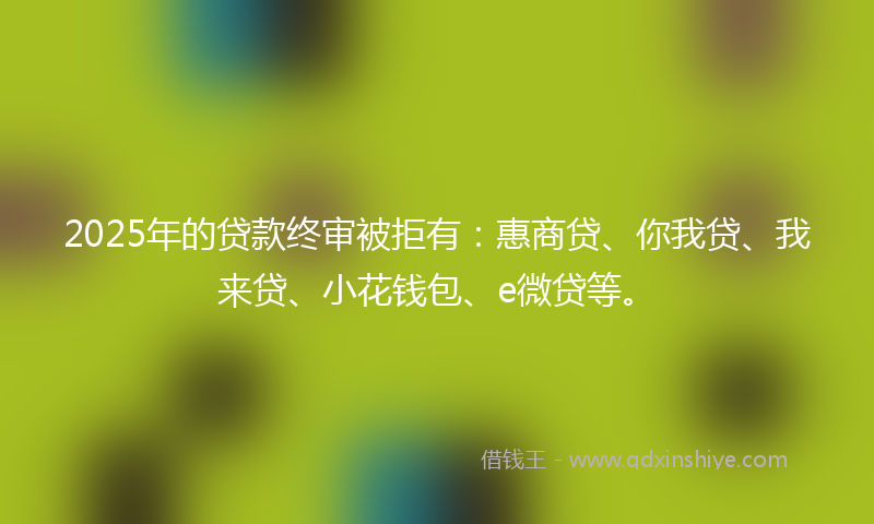 2025年的贷款终审被拒有：惠商贷、你我贷、我来贷、小花钱包、e微贷等。