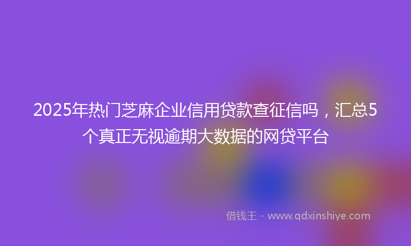 2025年热门芝麻企业信用贷款查征信吗，汇总5个真正无视逾期大数据的网贷平台