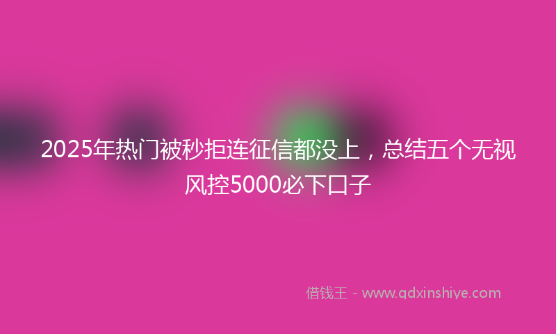 2025年热门被秒拒连征信都没上，总结五个无视风控5000必下口子