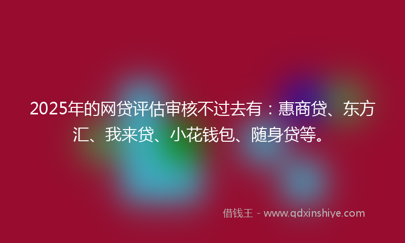 2025年的网贷评估审核不过去有：惠商贷、东方汇、我来贷、小花钱包、随身贷等。