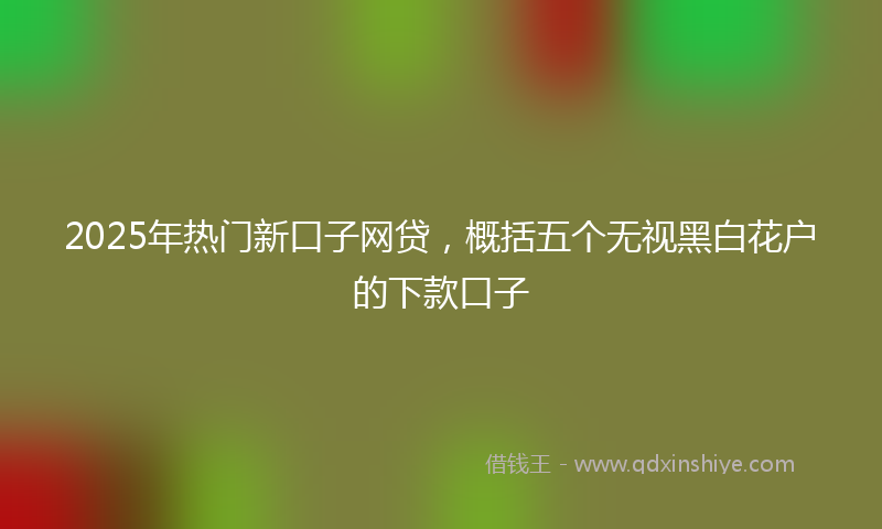 2025年热门新口子网贷，概括五个无视黑白花户的下款口子