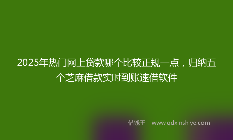 2025年热门网上贷款哪个比较正规一点，归纳五个芝麻借款实时到账速借软件