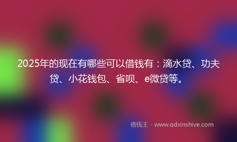 2025年的现在有哪些可以借钱有：滴水贷、功夫贷、小花钱包、省呗、e微贷等。