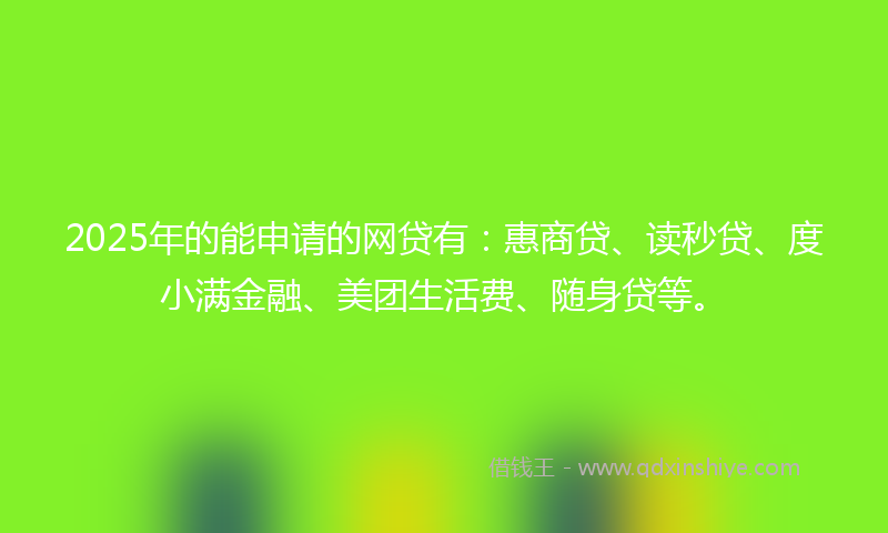 2025年的能申请的网贷有：惠商贷、读秒贷、度小满金融、美团生活费、随身贷等。