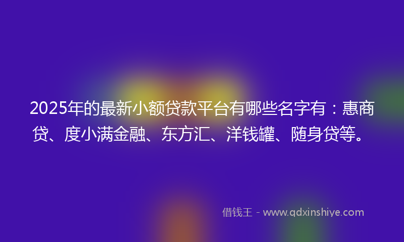 2025年的最新小额贷款平台有哪些名字有：惠商贷、度小满金融、东方汇、洋钱罐、随身贷等。