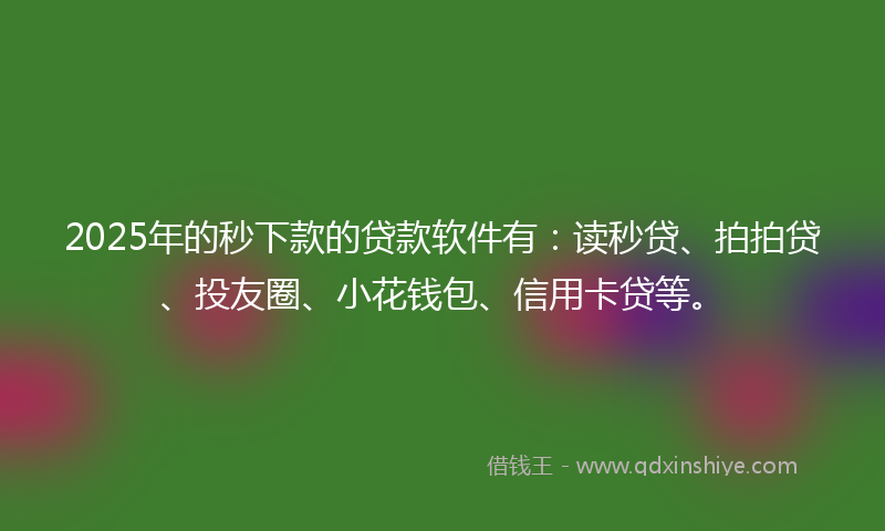 2025年的秒下款的贷款软件有：读秒贷、拍拍贷、投友圈、小花钱包、信用卡贷等。