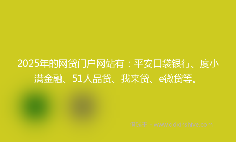 2025年的网贷门户网站有：平安口袋银行、度小满金融、51人品贷、我来贷、e微贷等。