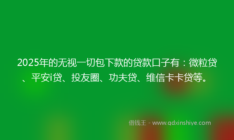 2025年的无视一切包下款的贷款口子有：微粒贷、平安i贷、投友圈、功夫贷、维信卡卡贷等。