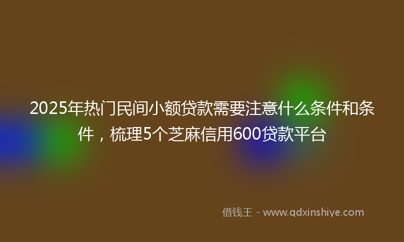 2025年热门民间小额贷款需要注意什么条件和条件，梳理5个芝麻信用600贷款平台