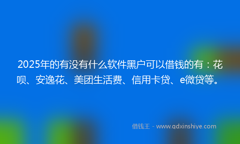 2025年的有没有什么软件黑户可以借钱的有：花呗、安逸花、美团生活费、信用卡贷、e微贷等。