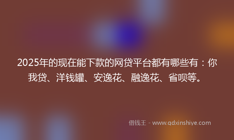 2025年的现在能下款的网贷平台都有哪些有：你我贷、洋钱罐、安逸花、融逸花、省呗等。