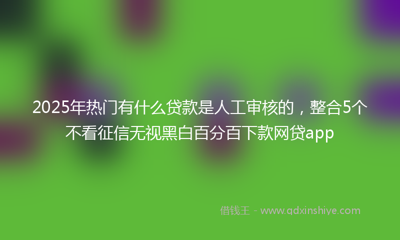 2025年热门有什么贷款是人工审核的，整合5个不看征信无视黑白百分百下款网贷app