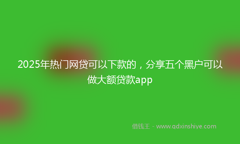 2025年热门网贷可以下款的，分享五个黑户可以做大额贷款app