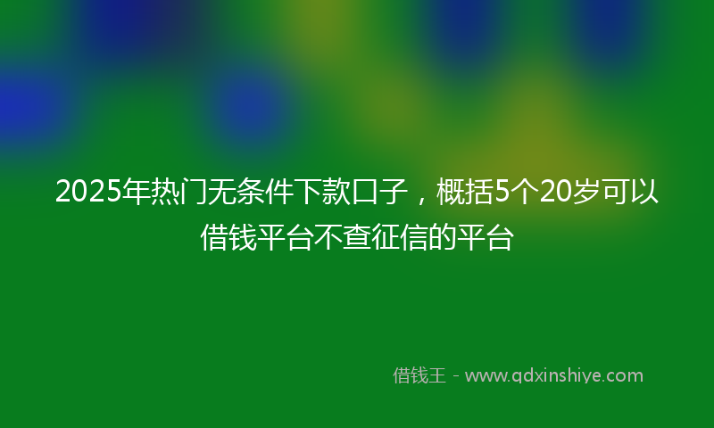 2025年热门无条件下款口子，概括5个20岁可以借钱平台不查征信的平台