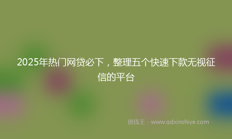 2025年热门网贷必下，整理五个快速下款无视征信的平台