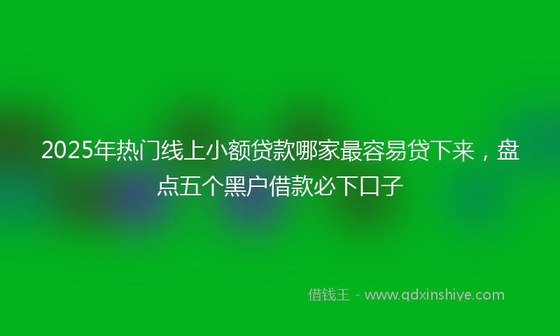 2025年热门线上小额贷款哪家最容易贷下来，盘点五个黑户借款必下口子
