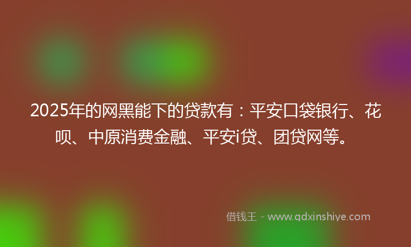 2025年的网黑能下的贷款有：平安口袋银行、花呗、中原消费金融、平安i贷、团贷网等。