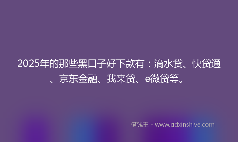 2025年的那些黑口子好下款有：滴水贷、快贷通、京东金融、我来贷、e微贷等。
