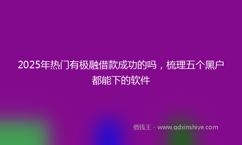2025年热门有极融借款成功的吗，梳理五个黑户都能下的软件
