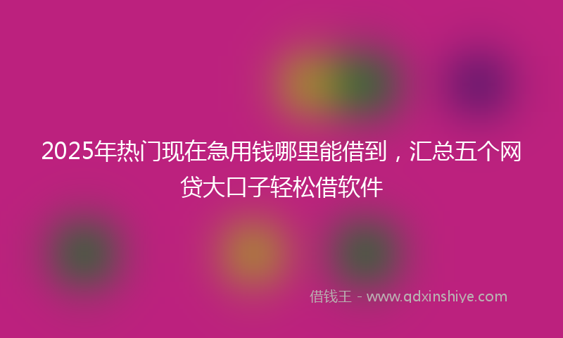 2025年热门现在急用钱哪里能借到，汇总五个网贷大口子轻松借软件