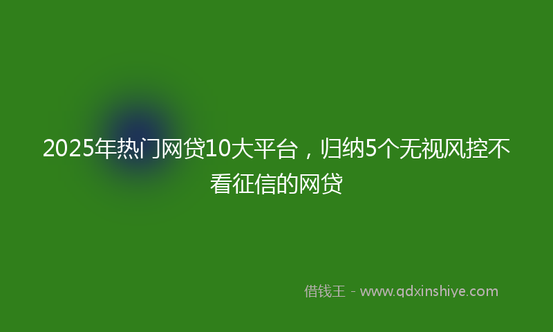 2025年热门网贷10大平台，归纳5个无视风控不看征信的网贷