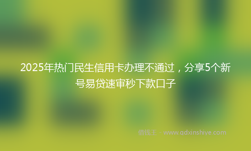 2025年热门民生信用卡办理不通过，分享5个新号易贷速审秒下款口子