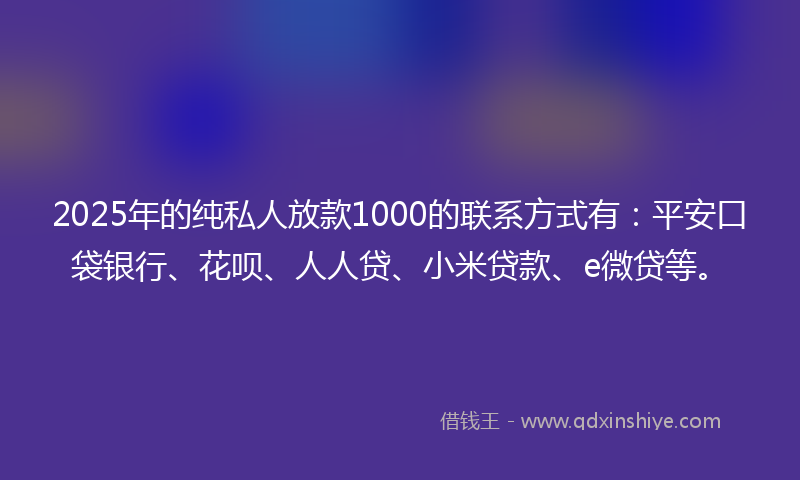 2025年的纯私人放款1000的联系方式有：平安口袋银行、花呗、人人贷、小米贷款、e微贷等。