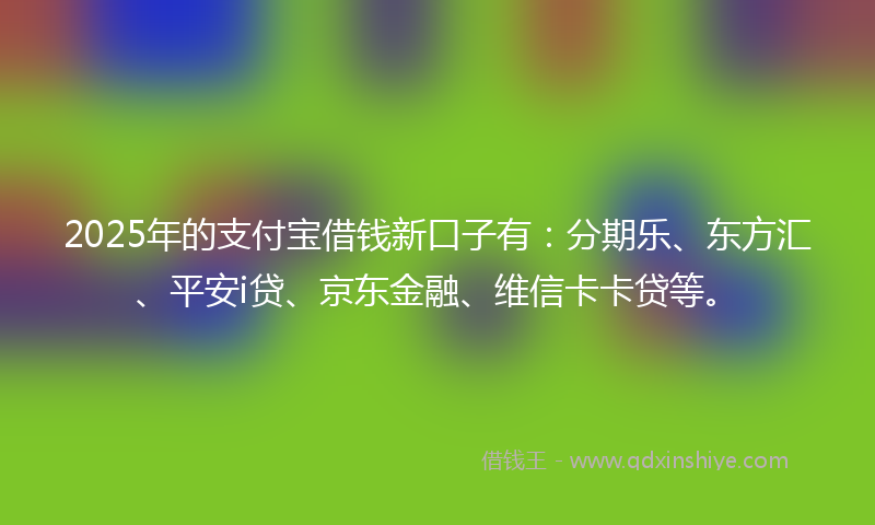 2025年的支付宝借钱新口子有：分期乐、东方汇、平安i贷、京东金融、维信卡卡贷等。