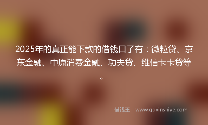 2025年的真正能下款的借钱口子有：微粒贷、京东金融、中原消费金融、功夫贷、维信卡卡贷等。