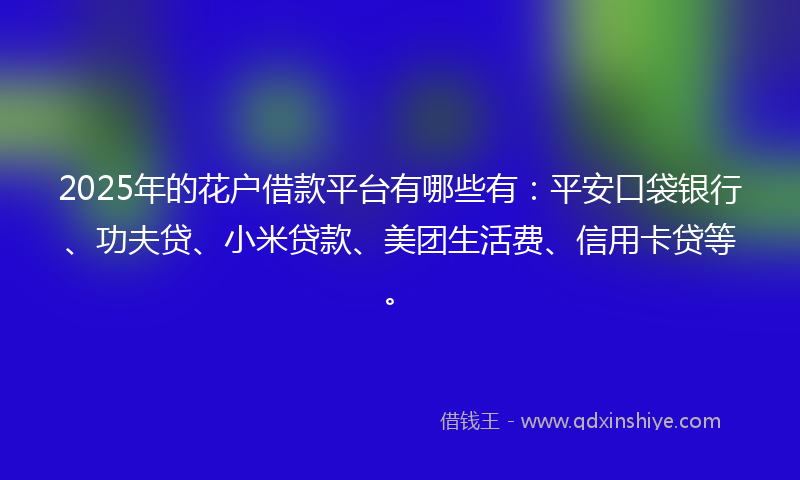 2025年的花户借款平台有哪些有：平安口袋银行、功夫贷、小米贷款、美团生活费、信用卡贷等。