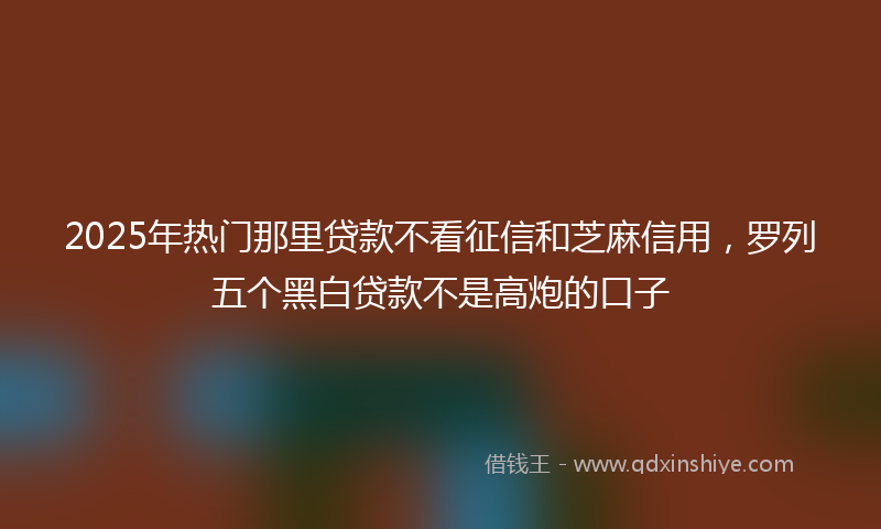 2025年热门那里贷款不看征信和芝麻信用，罗列五个黑白贷款不是高炮的口子