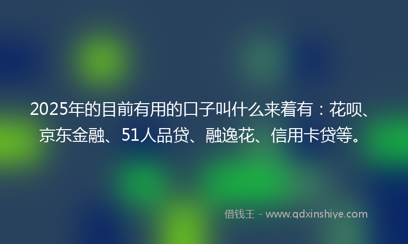 2025年的目前有用的口子叫什么来着有：花呗、京东金融、51人品贷、融逸花、信用卡贷等。