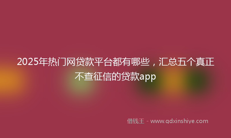 2025年热门网贷款平台都有哪些，汇总五个真正不查征信的贷款app