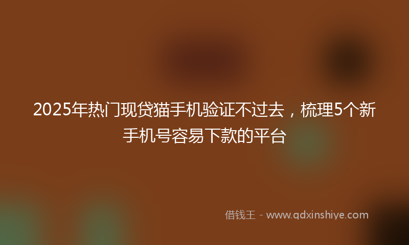 2025年热门现贷猫手机验证不过去，梳理5个新手机号容易下款的平台