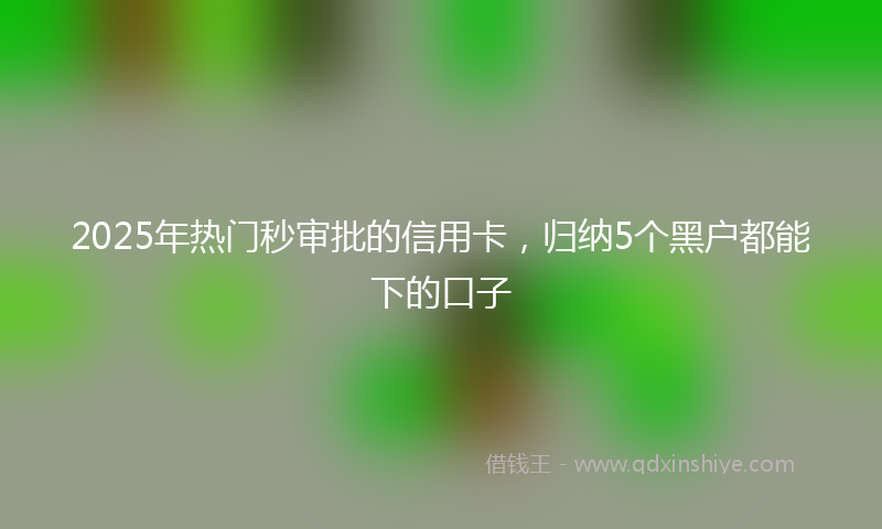 2025年热门秒审批的信用卡，归纳5个黑户都能下的口子