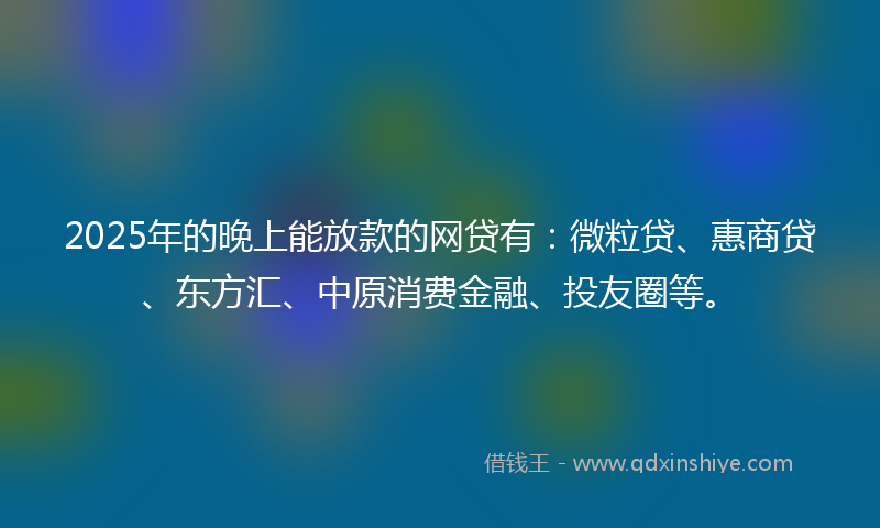 2025年的晚上能放款的网贷有：微粒贷、惠商贷、东方汇、中原消费金融、投友圈等。
