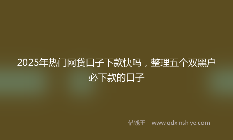2025年热门网贷口子下款快吗，整理五个双黑户必下款的口子