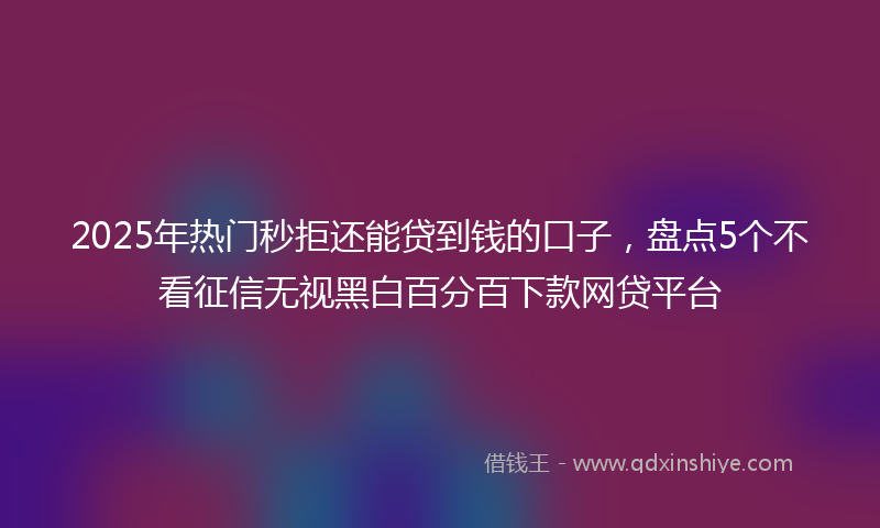 2025年热门秒拒还能贷到钱的口子，盘点5个不看征信无视黑白百分百下款网贷平台
