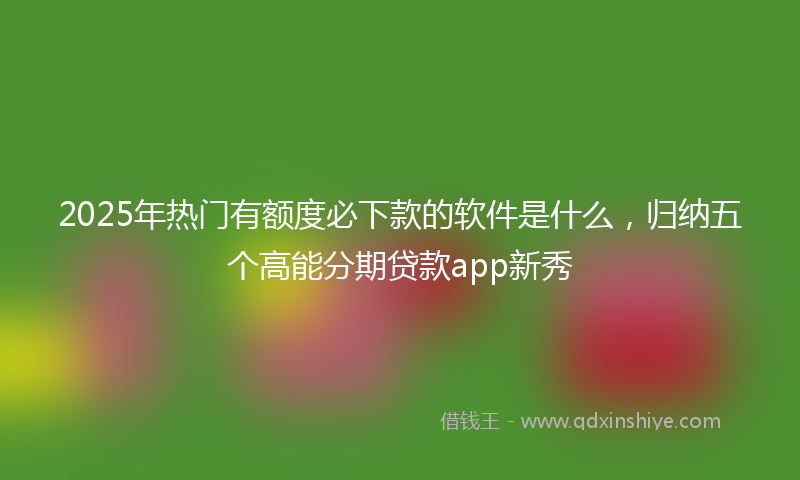 2025年热门有额度必下款的软件是什么，归纳五个高能分期贷款app新秀