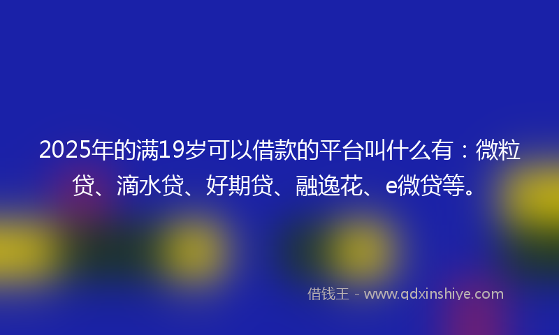 2025年的满19岁可以借款的平台叫什么有：微粒贷、滴水贷、好期贷、融逸花、e微贷等。