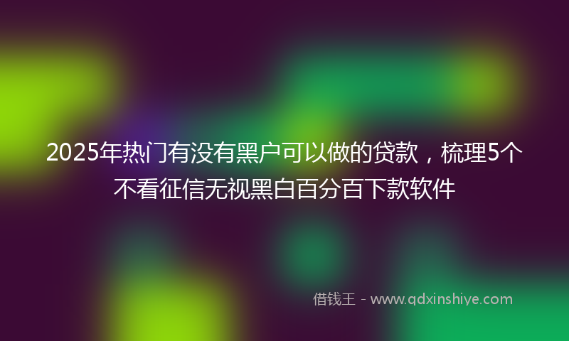 2025年热门有没有黑户可以做的贷款，梳理5个不看征信无视黑白百分百下款软件