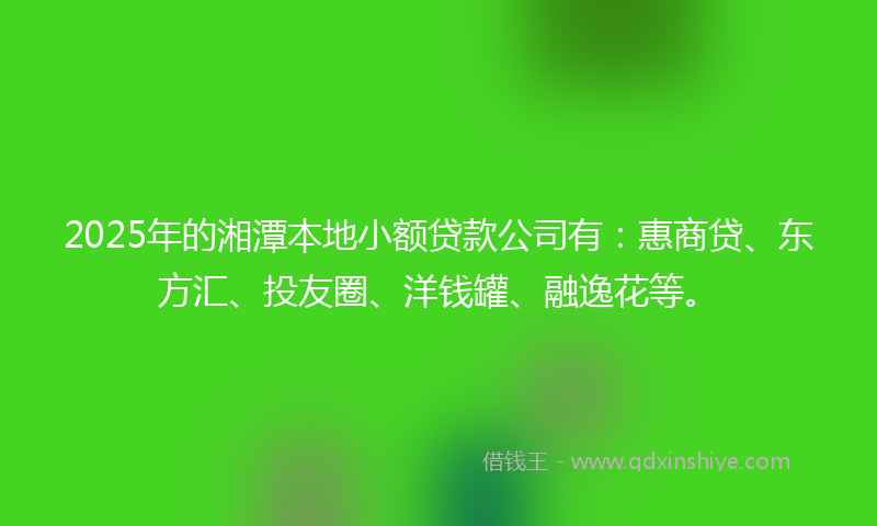 2025年的湘潭本地小额贷款公司有：惠商贷、东方汇、投友圈、洋钱罐、融逸花等。