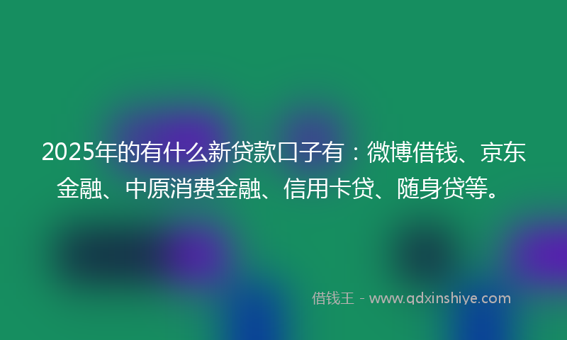 2025年的有什么新贷款口子有：微博借钱、京东金融、中原消费金融、信用卡贷、随身贷等。